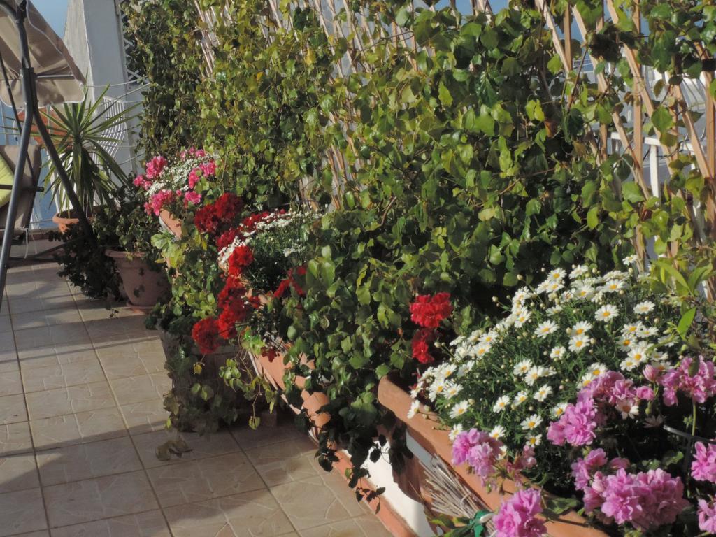 B&B Il Bacio Di Capri Anacapri Kültér fotó